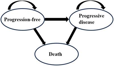 Cost-effectiveness of Kang Ai injection plus chemotherapy vs. Shenqi Fuzheng injection plus chemotherapy in the first-line treatment of advanced non-small cell lung cancer